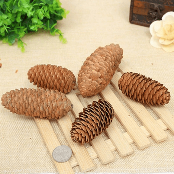 Natural Mini Pine Cones, 24 Pack, Ideal for DIY Crafts and Home Decor,