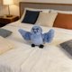 thumbnail image 5 of Pájaro de 18 cm, muñeco divertido y adorable, peluche para el escritorio, ideal para niños, niñas, adultos, cumpleaños, fiestas, salón, apartamento o residencia de estudiantes, 5 of 8