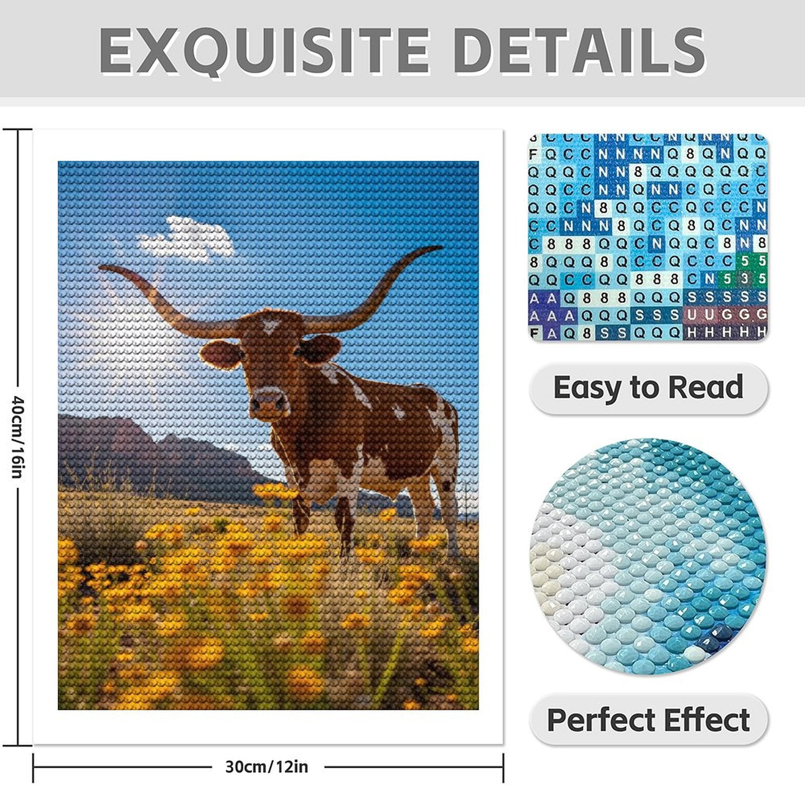 Diamond Art Kit for Adults, Texas Sunset Longhorn Field Blossoms Diamond Painting for Adults Beginners, DIY Diamond Art Painting Kits, 5D Diamond Painting Crafts for Home Decor 12x16 Frameless