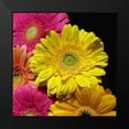 thumbnail image 2 of Burkhart, Monika 12x12 Black Modern Framed Museum Art Print Titled - Spring Potpourri II, 2 of 5