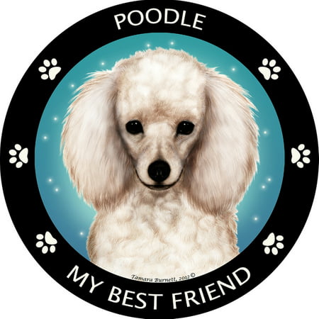 White Poodle My Best Friend Magnet