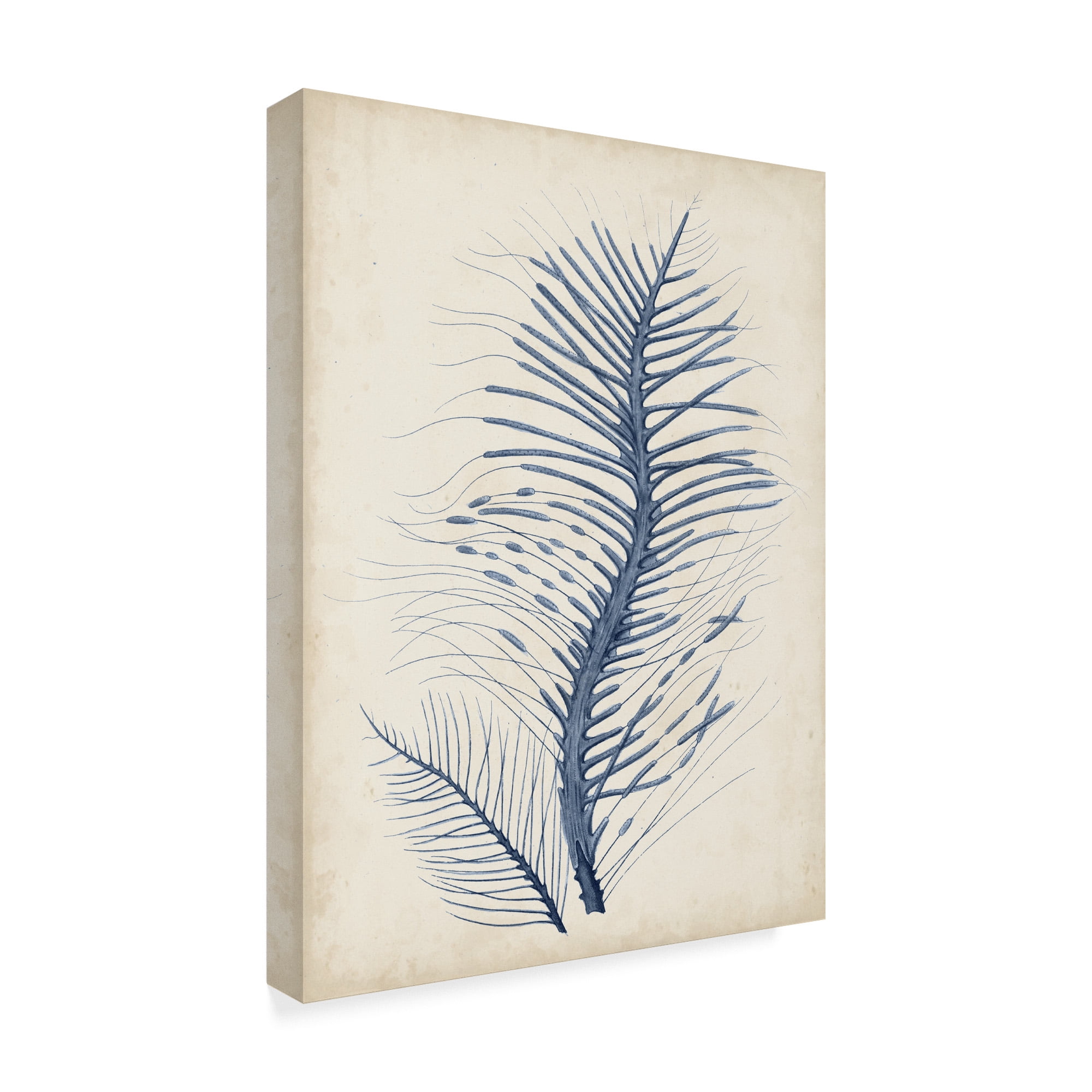 Trademark Fine Art 'Indigo Coral V' Canvas Art by Vision Studio
