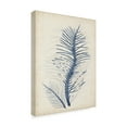 thumbnail image 2 of Trademark Fine Art 'Indigo Coral V' Canvas Art by Vision Studio, 2 of 4