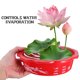 thumbnail image 5 of AURARMLET 10Ud Macetas Hidroponicas Plasticas Rojas Para De Y De Loto Decorativas, 5 of 5