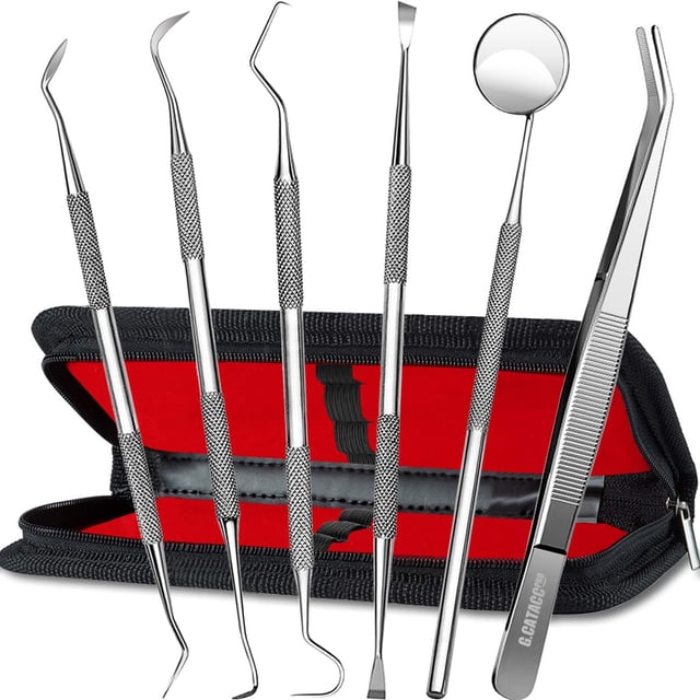 Juego de herramientas dentales G.CATACC Dental Pick Kit de limpieza de dientes