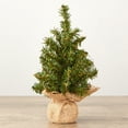 thumbnail image 2 of Factory Direct Craft Group of 4 Artificial 8" Pine Christmas Trees with Burlap, 2 of 3