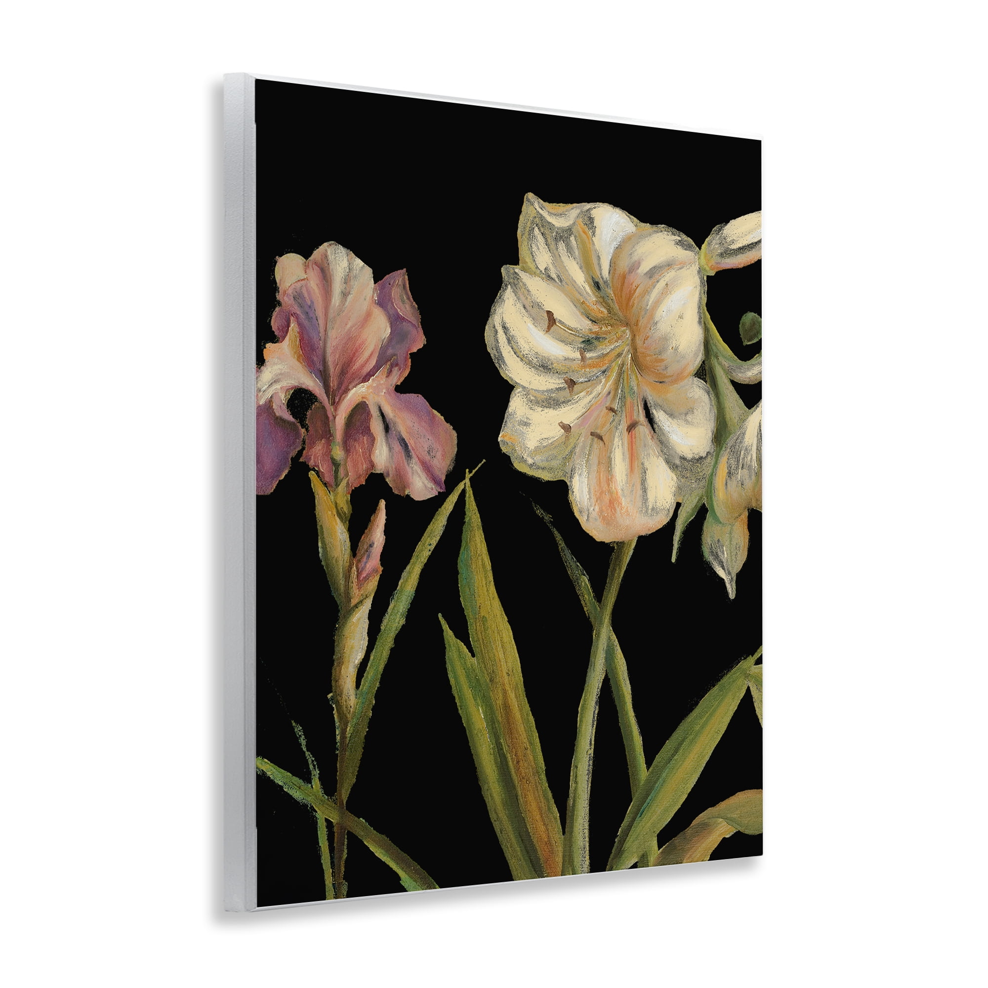 Stupell Industries Iris Flowers on Black Botanical & Floral Painting Unframed Art Print Wall Art, 11 x 14