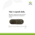 thumbnail image 4 of Terry Naturally GMT23 Greek Mountain Tea - 30 Capsules, 4 of 7