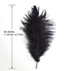 thumbnail image 2 of 10 Uds plumas de avestruz esponjosas plumas de fiesta de boda Feather30-35cm (negro) Ehuebsd  Libre de BPA, 2 of 8