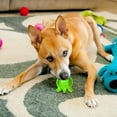 thumbnail image 2 of Dog Toy Squeaky Dog Toothbrush Teeth Cleaning Teething Stick Pet Educational Chewing Toy Helps Dog, 2 of 5