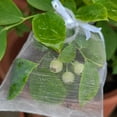 thumbnail image 2 of AUQ 50Pcs Transparent Hard Gauze Gift Bag High Transparency to Clearly Display Gifts Transparent Drawstring Gift Bag 9x12cm, 2 of 2