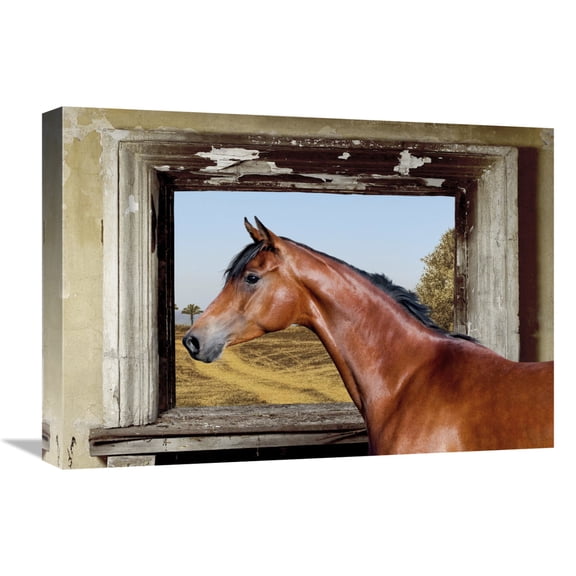 Global Gallery's 'Arab King' by Lauren Julian Stretched Canvas Wall Art