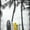 Surfboard Pop, variant on Elephant Stock Surfboard Pop Wall Art - Vertical Canvas Wall Art - Living Room Wall Decor - Hobbies And Lifestyle Canvas - Gray And Black Decor - 8" x 12"