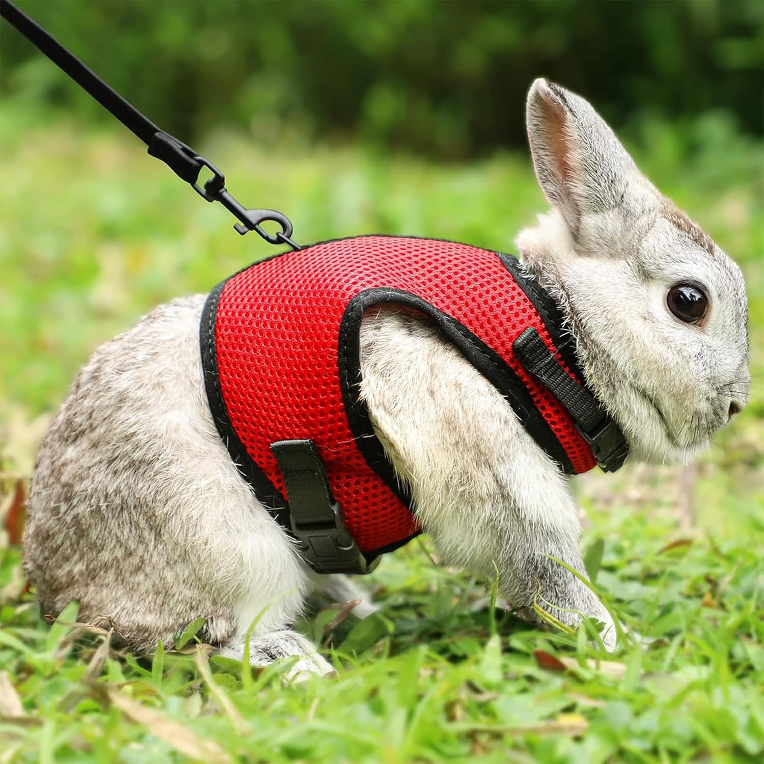 Rabbits Harness, With Elastic Lead, Adjustable Rabbit Harness And Lead Set, Mesh Vest for Hamsters Small Cats Guinea Pig Walking(L, Red)