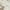 Beige, variant on Addison Rugs Chantille Indoor/Outdoor Transitional Floral Taupe Washable Rectangle Rug, 10' x 14'