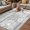 Light Gray White Black, variant on Dandelion Outdoor Rug for Patio/Deck/Porch, Non-Slip Large Area Rug 6 x 9 Ft, Black White Modern Country Rustic Plants Indoor Outdoor Rugs Washable Area Rugs, Reversible Camping Rug Carpet Runner