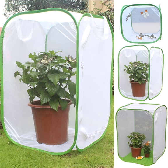 RAIRSKY 2026 New Large Monarch Butterfly Habitat, Butterfly Habitat with Poo Poo Platter, Giant Collapsible Insect Mesh Cage, Butterfly Cage with Poo Poo Tray, Monarch Butterfly Cage(S)