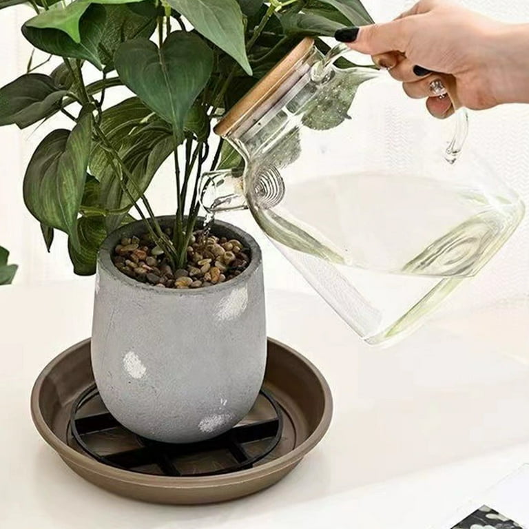 plants hanging from ceiling Plant Hanging Kit