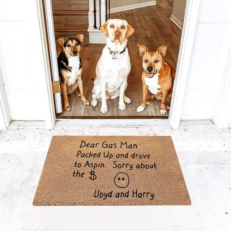 40*60CM Funny Welcome Mat Outdoor, Front Door Mat for Outside