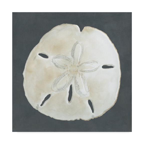 Trademark Fine Art 'Shell on Slate II' Canvas Art by Megan Meagher