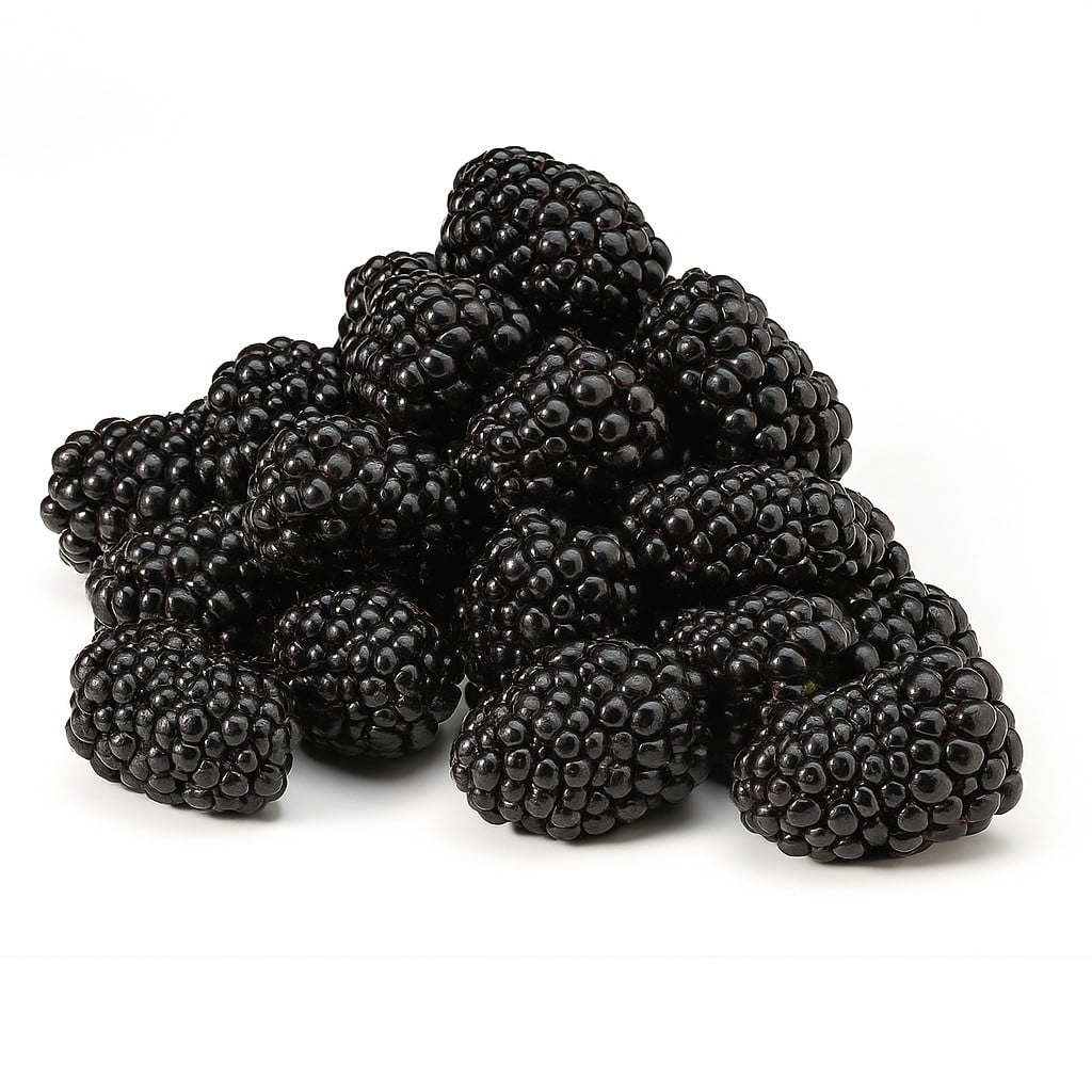 Fresh Blackberries, 12 oz. Container