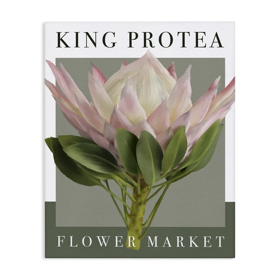 Stupell Industries King Protea Flower Market Canvas Wall Art, design by Jennifer Stith