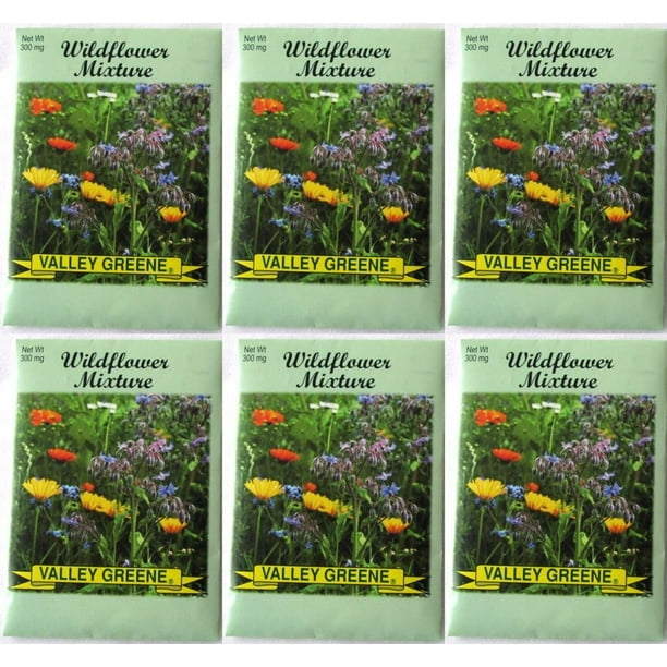 Valley Greene (6 Pack) 300 mg/Package Wildflower Mixture Heirloom