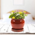 thumbnail image 3 of Southern Patio Wisteria 12 Inch Diameter Ceramic Planter Pot with Saucer, Red, 3 of 5