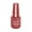 C, variant on EARKITY Metallic Nail Polish Mirror Nail Polish, 12 Colors Varnishes Metal Mirror Nail Polish, Metallic Mirror Glitter Nail 18ml