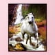 thumbnail image 1 of Cuadros Decorativos Kit de punto de cruz de hilo de algodón ecológico de 11 quilates con estampado de caballo blanco bordado completo Ndcxsfigh Nuevos Originales, 1 of 8