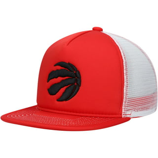 Toronto Raptors Mitchell & Ness Hardwood Classics Snapback Adjustable Hat -  Cream