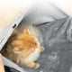 thumbnail image 4 of Xihbxyly Delantal para Transportar Mascotas, Bolsillo Ajustable con Aberturas para Las Piernas, Suave Forro Polar, Cómodo Bolso de Hombro, Fácil de Limpiar, Multiusos, Apto para Exteriores y Viajes,, 4 of 6