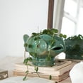 thumbnail image 4 of Creative Co-Op Debossed Stoneware Fish Planter with Reactive Glaze, Turquoise, 4 of 4
