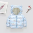 thumbnail image 3 of Hicidod Infant Puffer Jackets Puffy Thicken Warm Winter Coat Cute Bear Hood Cartoon Print Zipper Toddler Down Coat Clearance Sale, 3 of 6