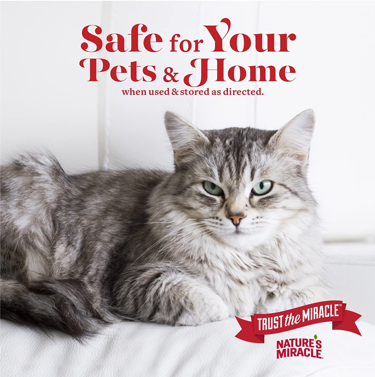 Nature's Miracle Cat Urine Destroyer - 946ml Bottle, Enzymatic Cleaner