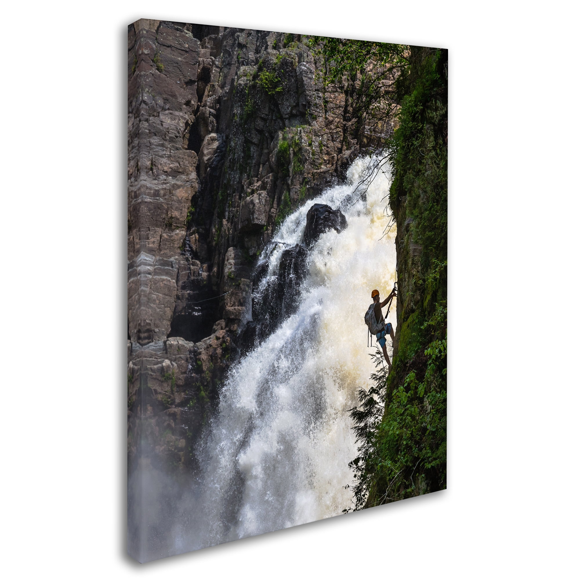 Wioletta 'Climbing' Canvas Art