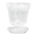 thumbnail image 3 of Hvmvliv Clear Orchid Pots 5Pcs Transparent Planting Pots with Holes Plastic Planting Cultivation Pots Breathable Flower Plant Nursery Pot with Trays Garden Supplies Multicolor, 3 of 9