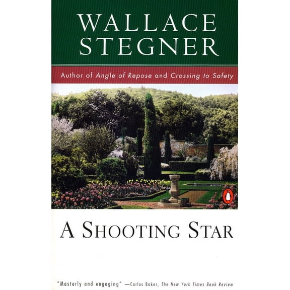 A Shooting Star, (Paperback)