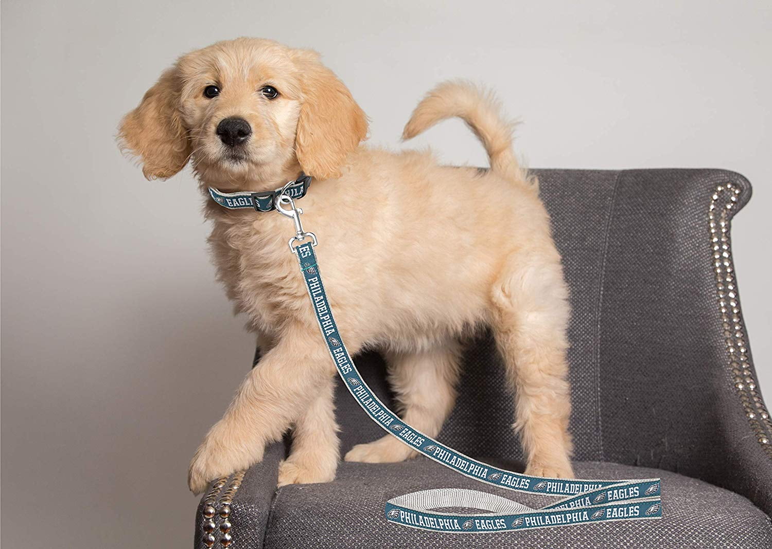 Pets First NFL Philadelphia Eagles Heavy Duty and Durable Dogs and Cats Sports Leash - Small