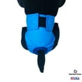 thumbnail image 3 of Barkertime Aqua Blue Waterproof Premium Dog Diaper - Made in USA, 3 of 6