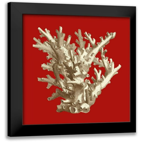 Vision Studio 12x12 Black Modern Framed Museum Art Print Titled - Small Coral on Red I