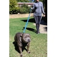 thumbnail image 3 of Correa para perros Primal Pet Gear, doble asa, nailon, 1,8 m, azul, 3 of 9