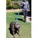 thumbnail image 3 of Correa para perros Primal Pet Gear, doble asa, nailon, 1,8 m, azul, 3 of 9