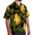 thumbnail image 2 of pear Men's Short Sleeve Button Down Poplin Casual Beach Shirts, 2 of 6