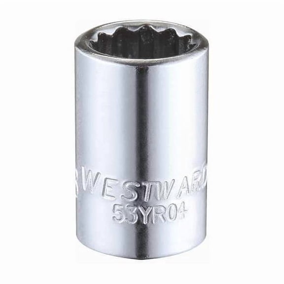 Westward Socket, Steel, Chrome, 3/8 in 53YR04