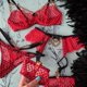 thumbnail image 1 of Lencería sexy Conjunto de ropa interior de mujer Conjunto de lencería erótica de encaje sexy Conjunto de ropa interior femenina Sujetador de encaje Bragas Ropa interior Mujer Tan Jianjun unisex, 1 of 2