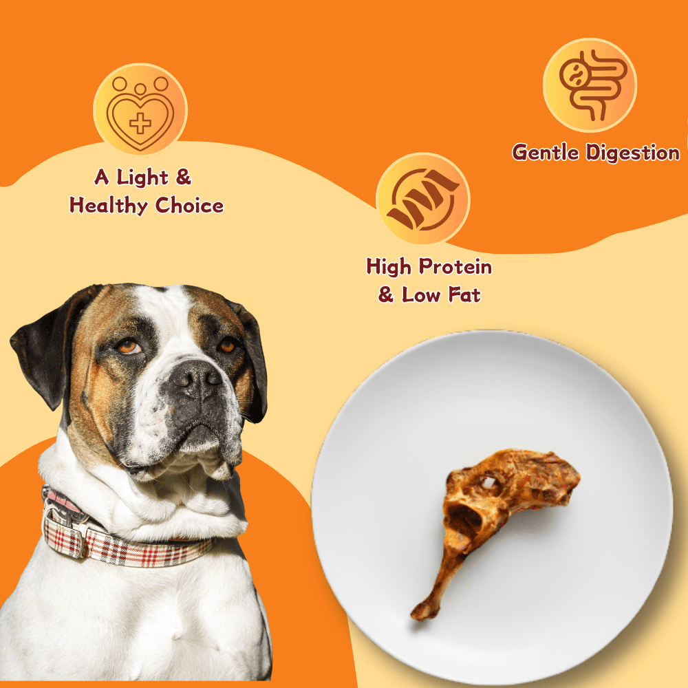 Tender Touch Butcher Cut Beef Ischium Bone, A Premium Dog Chew for Large Breeds to Reduce Boredom, All Natural & Slow Roasted, 1 Count