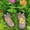 Brown(flower), variant on Epoxy resin Footprint Garden Stepping Stones Set of 2 , Outdoor Decorative Paver Mat for Yard Lawn Walkway Landscaping