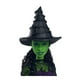 thumbnail image 2 of Muñeca Mattel Wicked Elphaba, 2 of 7