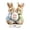 #1630-C, variant on Linnome Easter 2D Bunny Egg Rotating Base Acrylic Decor Ornaments Spring Holiday Home Tabletop Desktop Festive Decor